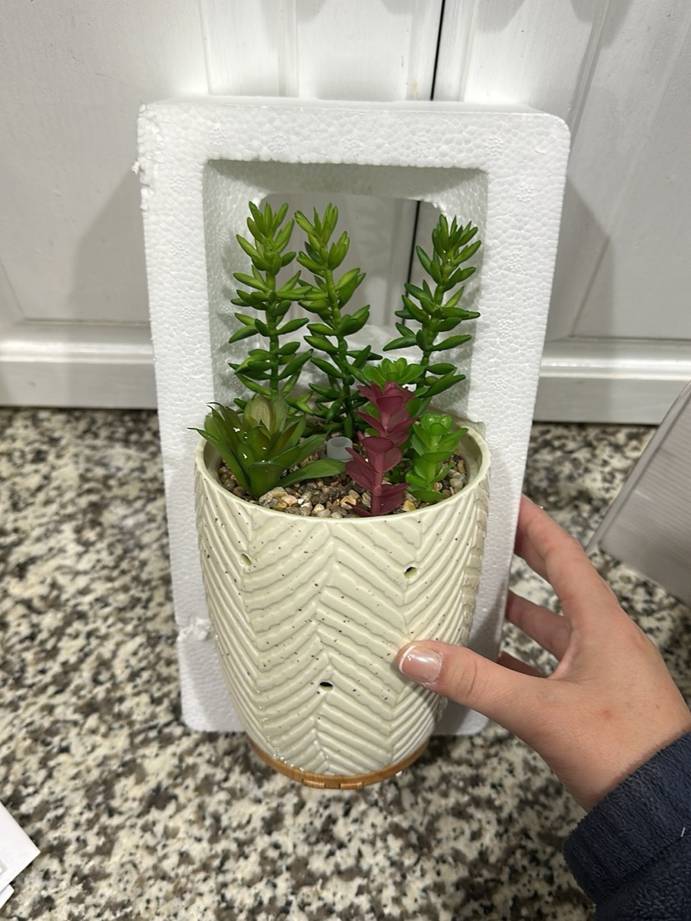 New Ceramic Essential Oils Diffuser Chevron Planter with Artificial Succulents